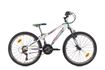 Picture of SPRINT CASPER 24, P.WHITE